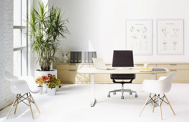 4 WAYS TO GET FRESH AIR THROUGHOUT YOUR WORKING DAY AND OFFICE CHAIR SINGAPORE MUST BE IN YOUR OFFICE(PART 1)