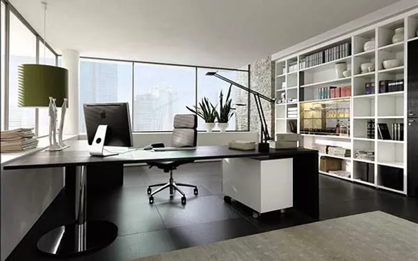 Health Benefits Of Having Plants In Your Office Part 1