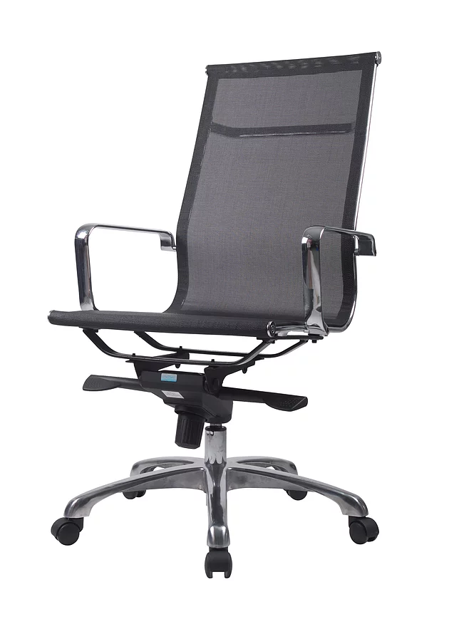 Features That Can Be Found On Good Ergonomic Office Chair In Singapore Part 1