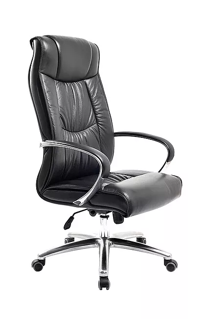 Executive Office Chairs Singapore by AOF