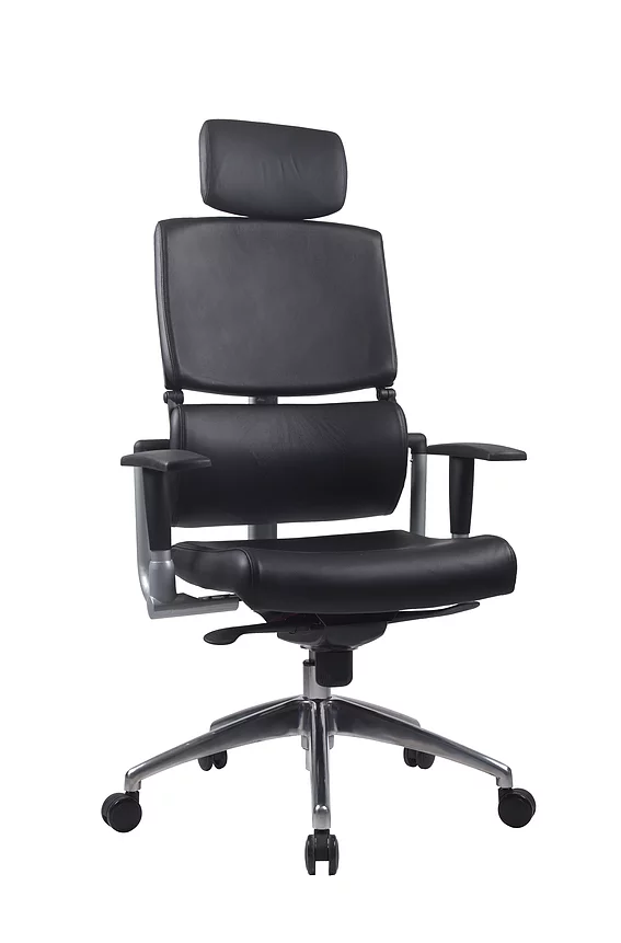 
The Spine Healthy Office Chair MENCHES 7883 by AOF Singapore